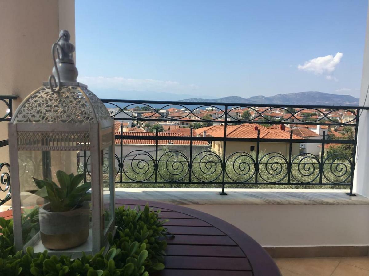 Athena'S Luxury Place Agria Esterno foto